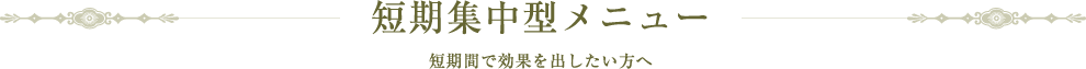 短期集中型メニュー