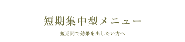 短期集中型メニュー